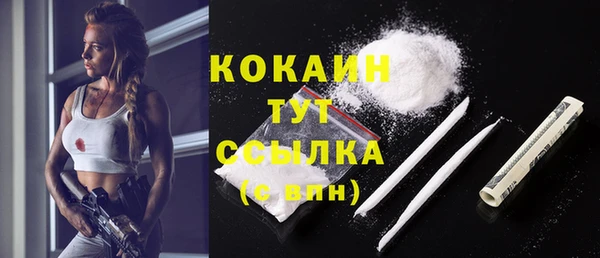 гашик Сатка