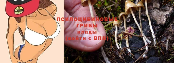стаф Сафоново