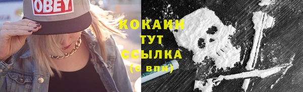 гашик Сатка