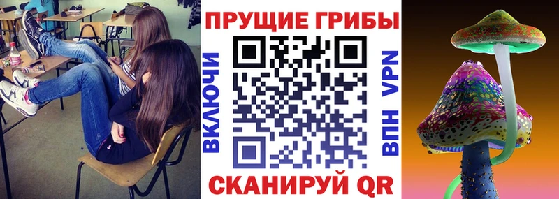 Псилоцибиновые грибы Psilocybe  Спас-Деменск 
